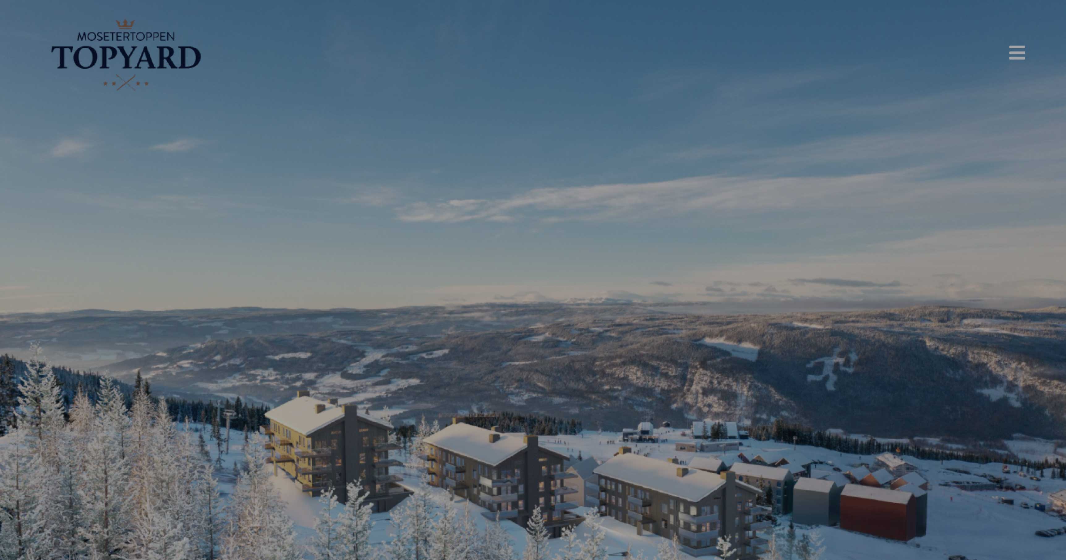 Skjermdump av nettside for Mosetertoppen Topyard, leiligheter på fjellet, vinterlandskap, blå himmel