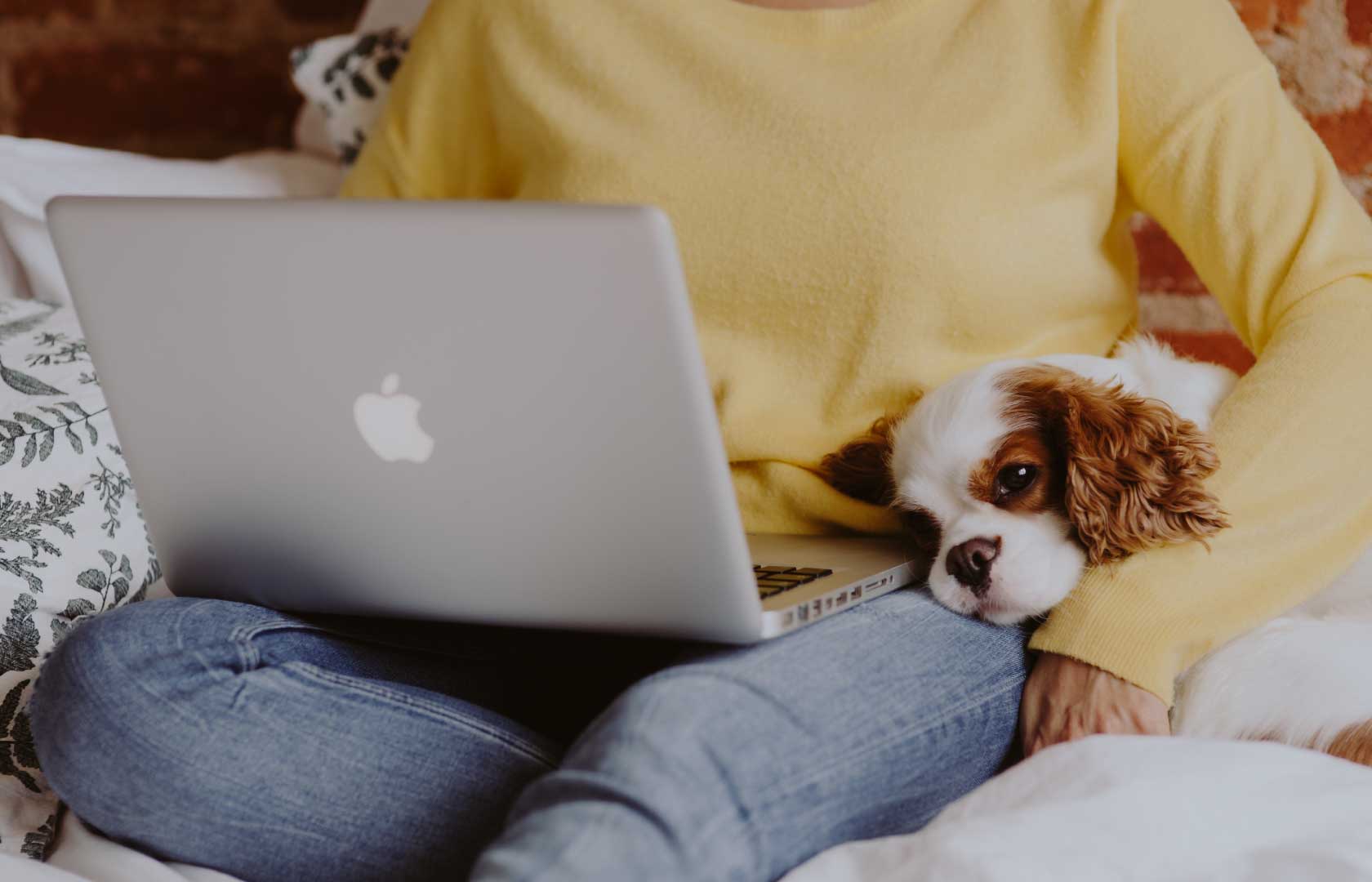 Dame sitter i sofa med en Mac, på fanget hviler en liten hund