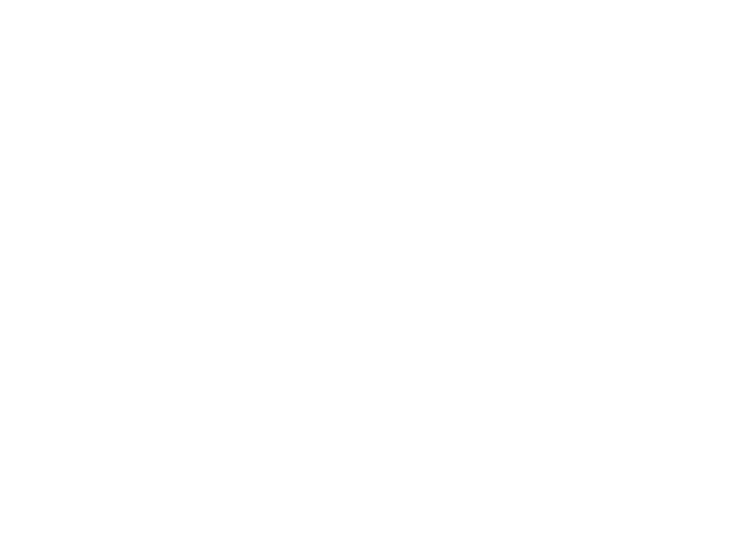 Vasetlia Panorama logo